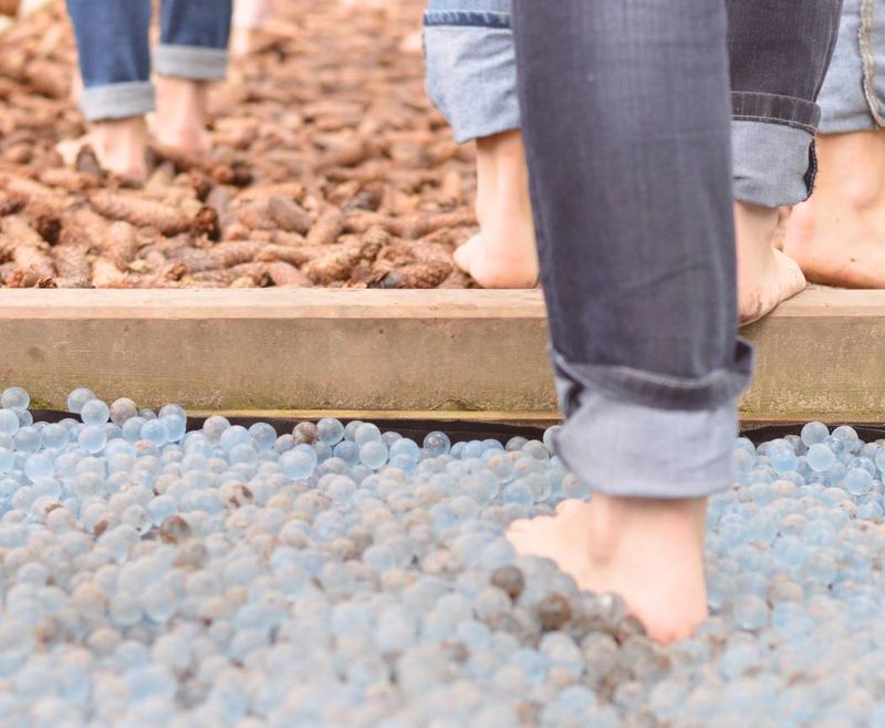 Parcours piedsnus des balades sans chaussettes Pimpant